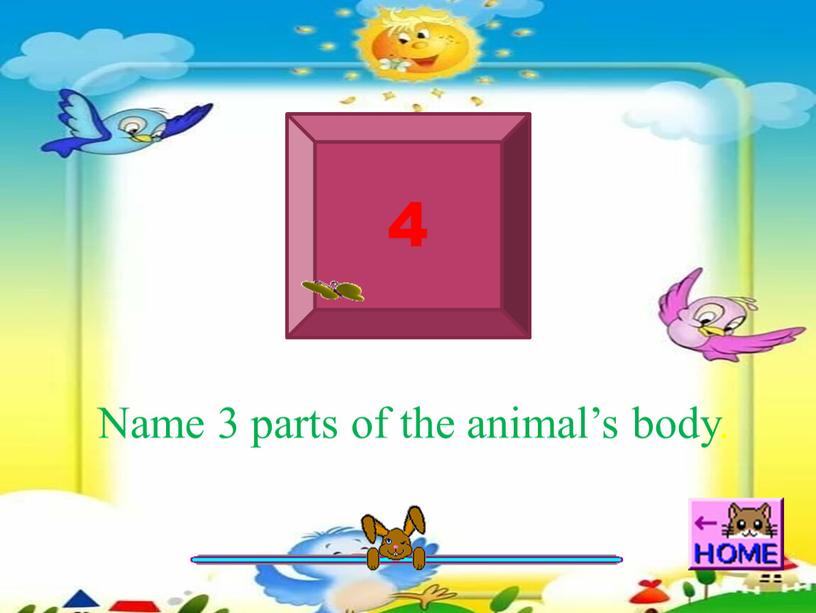 Name 3 parts of the animal’s body