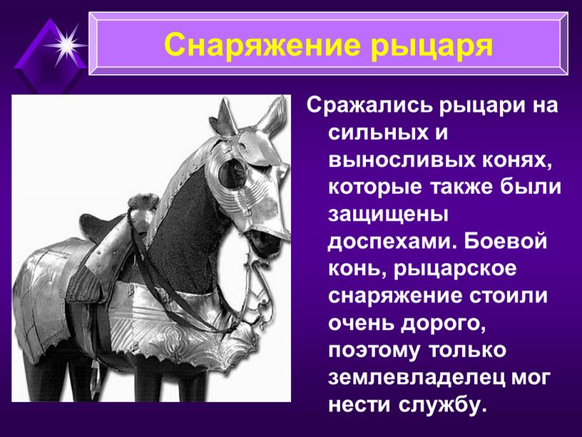 Сражались рыцари на сильных и выносливых конях, которые также были защищены доспехами