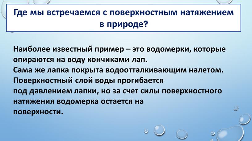 Где мы встречаемся с поверхностным натяжением в природе?