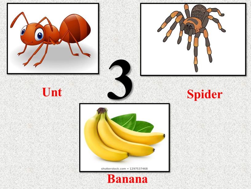 Unt Spider 3 Banana