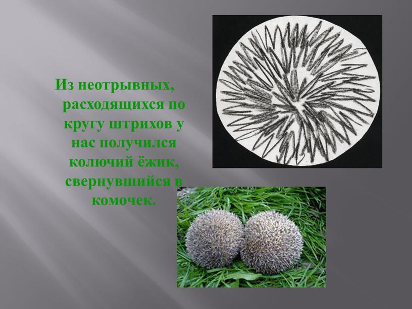 Из неотрывных, расходящихся по кругу штрихов у нас получился колючий ёжик, свернувшийся в комочек