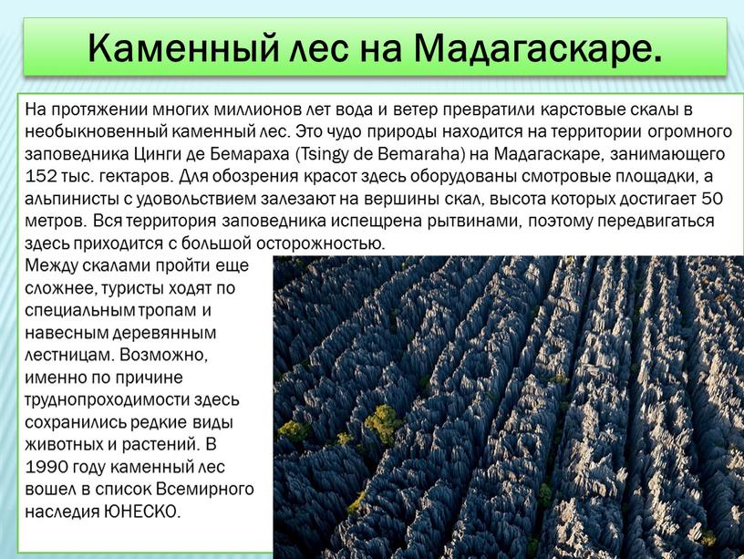 Каменный лес на Мадагаскаре. На протяжении многих миллионов лет вода и ветер превратили карстовые скалы в необыкновенный каменный лес