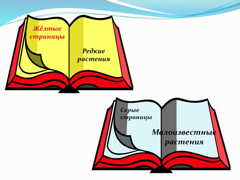 Серые страницы Малоизвестные растения