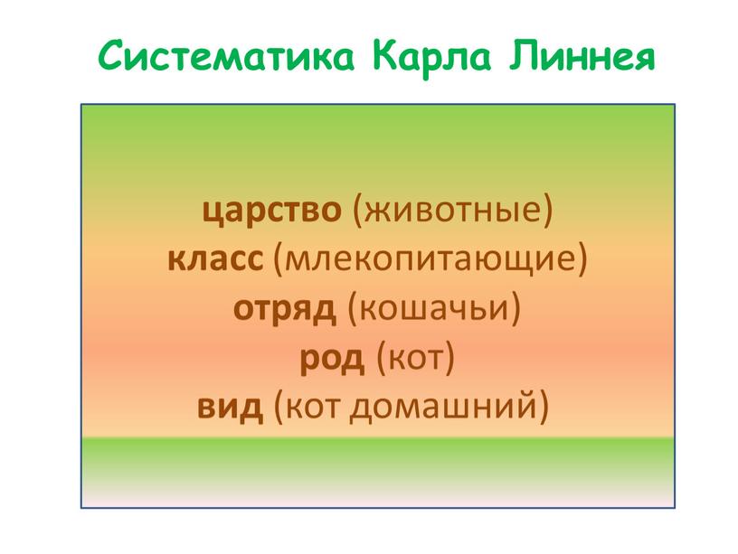 царство (животные) класс (млекопитающие) отряд (кошачьи) род (кот) вид (кот домашний) Систематика Карла Линнея