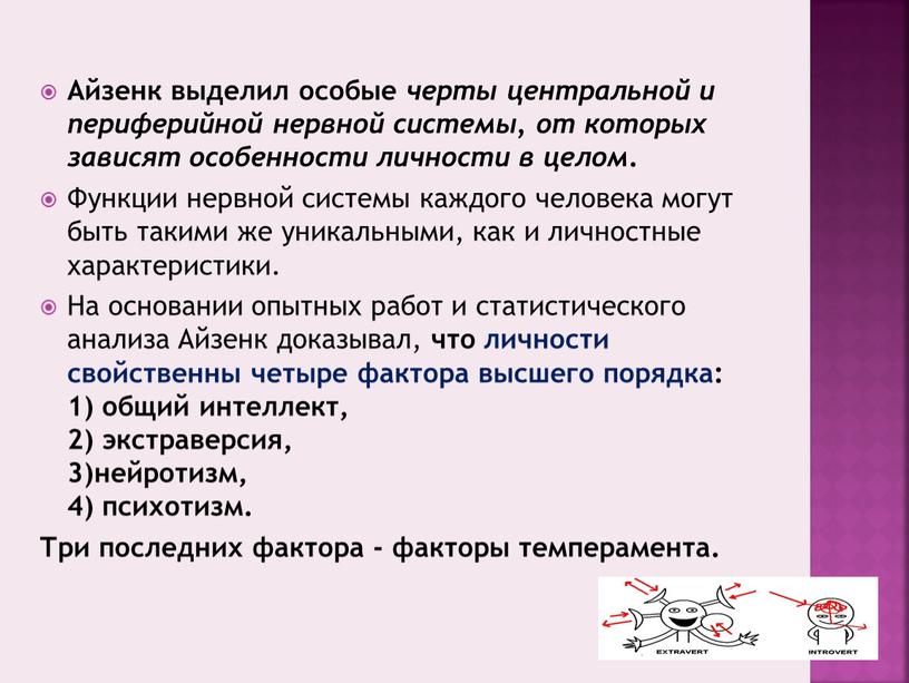 Айзенк выделил особые черты центральной и периферийной нервной системы, от которых зависят особенности личности в целом