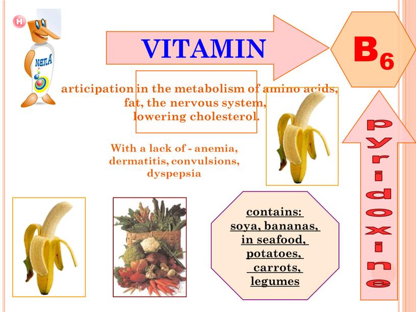 VITAMIN B6 pyridoxine Participation in the metabolism of amino acids, fat, the nervous system, lowering cholesterol