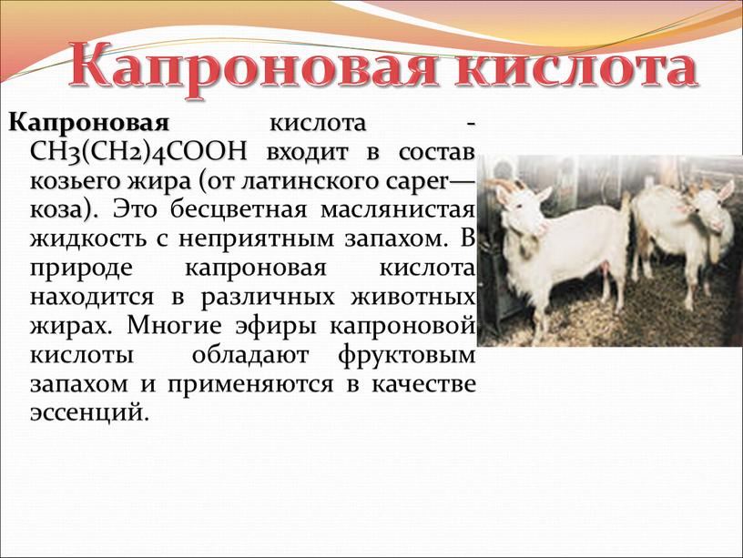 Капроновая кислота - CH3(CH2)4COOH входит в состав козьего жира (от латинского caper— коза)