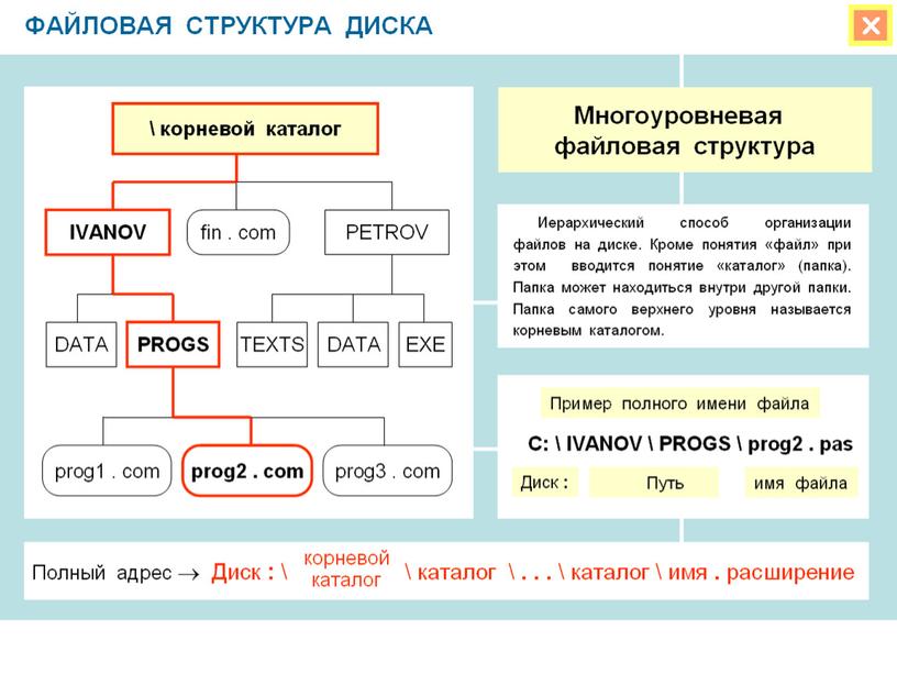 Презентация к уроку информатики 7 класс " Файлы и файловая структура"