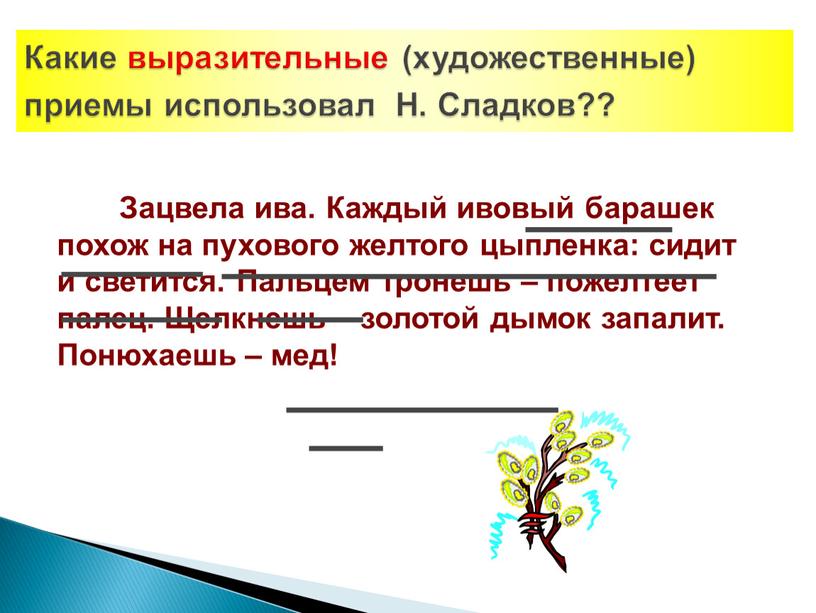 Зацвела ива. Каждый ивовый барашек похож на пухового желтого цыпленка: сидит и светится