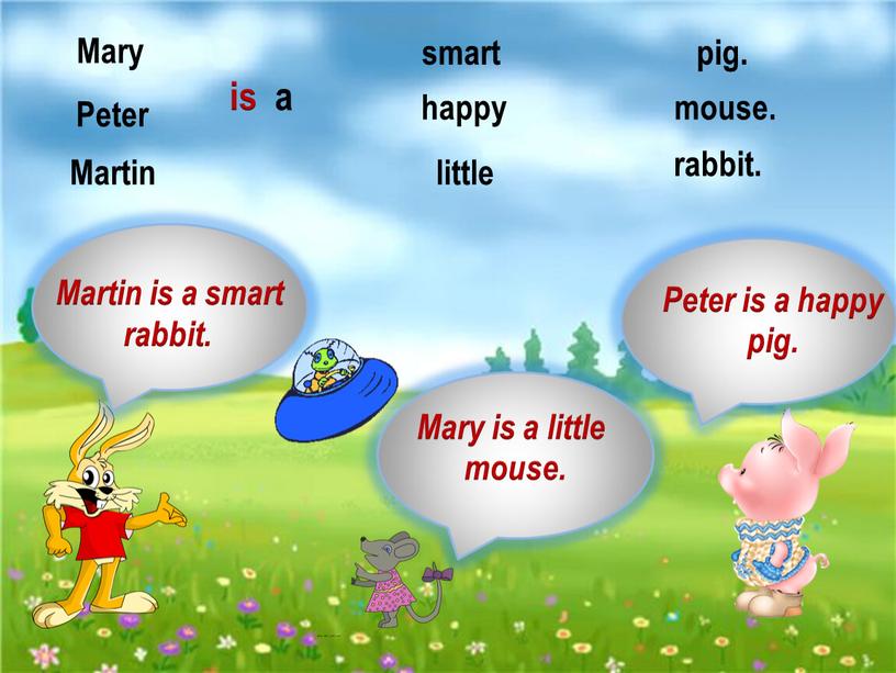 Martin Peter Mary is a smart happy little pig