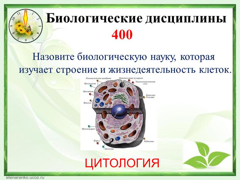 Биологические дисциплины 400