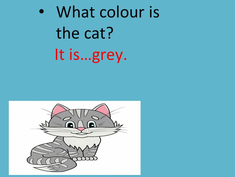 What colour is the cat? It is…grey