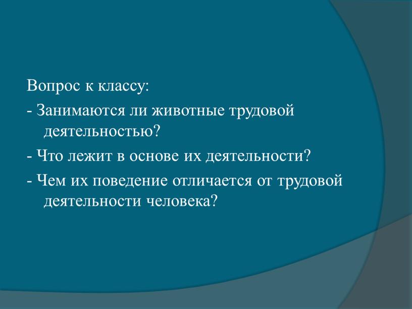 Вопрос к классу: - Занимаются ли животные трудовой деятельностью? -