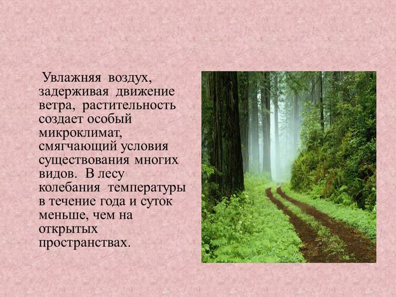 Увлажняя воздух, задерживая движение ветра, растительность создает особый микроклимат, смягчающий условия существования многих видов