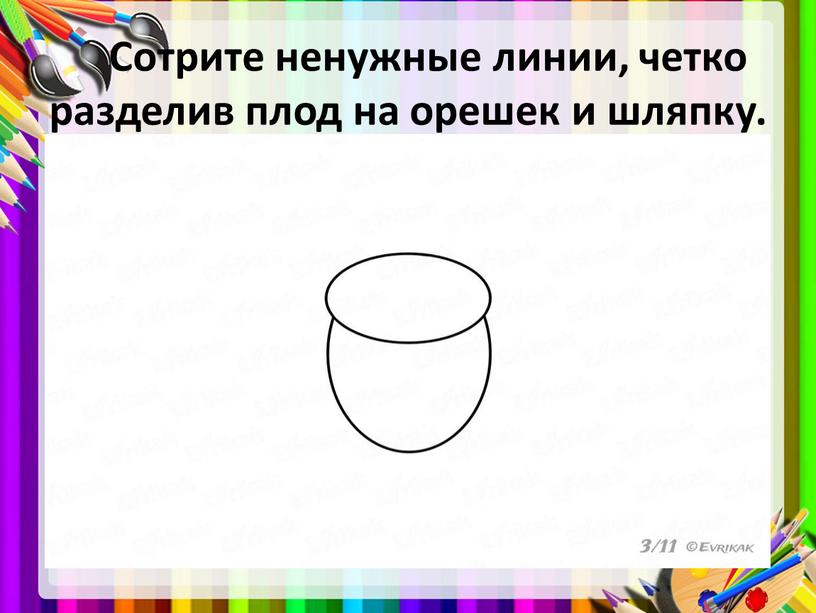 Сотрите ненужные линии, четко разделив плод на орешек и шляпку