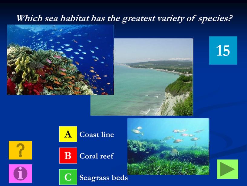 Which sea habitat has the greatest variety of species?