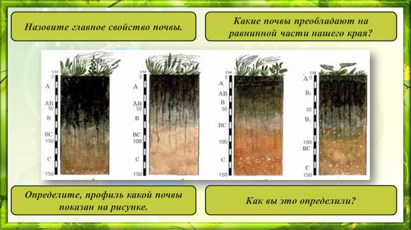 Назовите главное свойство почвы
