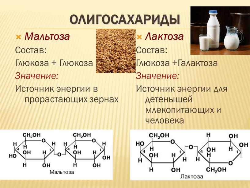 Олигосахариды Мальтоза Состав: