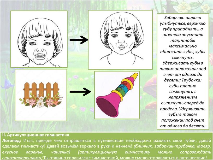 II. Артикуляционная гимнастика