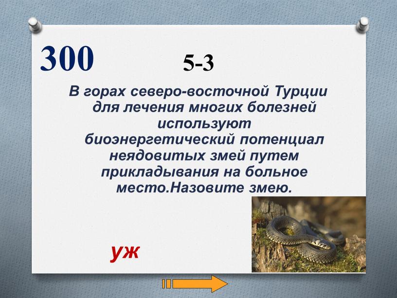 В горах северо-восточной Турции для лечения многих болезней используют биоэнергетический потенциал неядовитых змей путем прикладывания на больное место