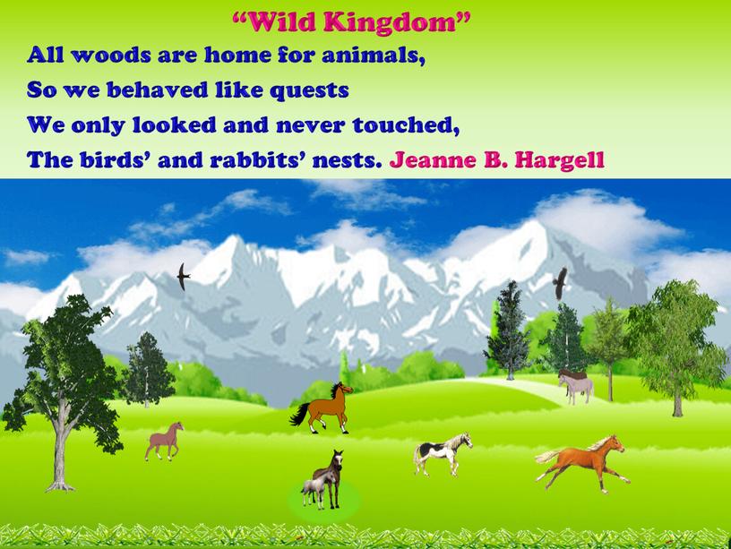 Wild Kingdom” All woods are home for animals,