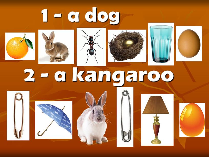 1 - a dog 2 - a kangaroo