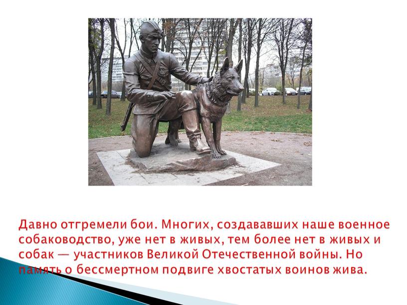 Давно отгремели бои. Многих, создававших наше военное собаководство, уже нет в живых, тем более нет в живых и собак — участников