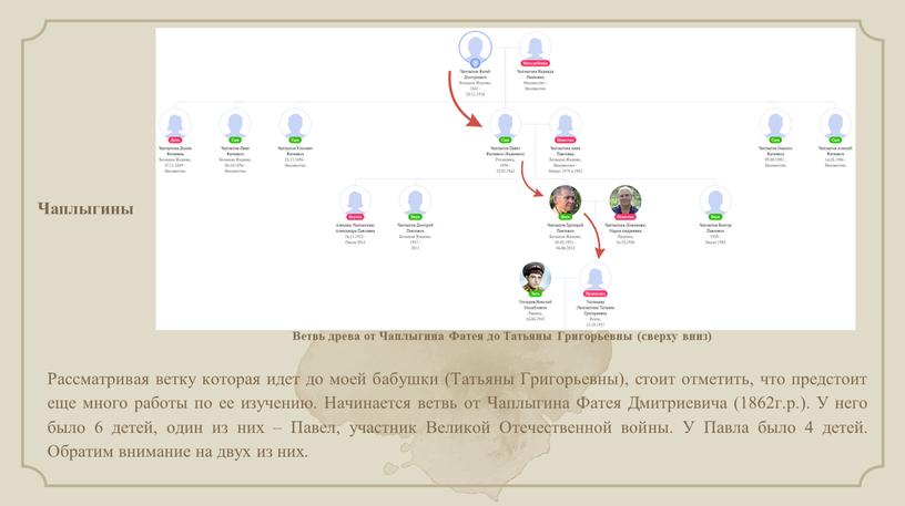 Чаплыгины Рассматривая ветку которая идет до моей бабушки (Татьяны