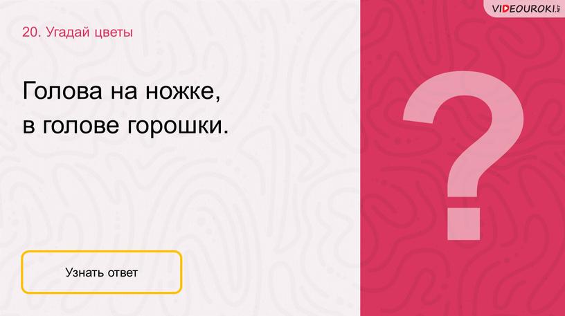 Угадай цветы Узнать ответ Голова на ножке, в голове горошки