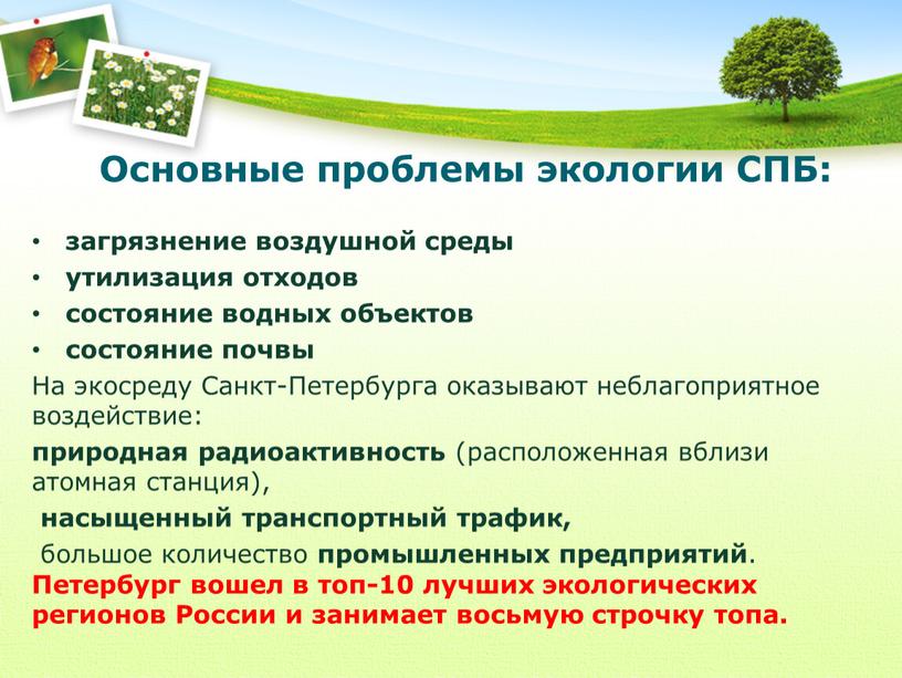 На экосреду Санкт-Петербурга оказывают неблагоприятное воздействие: природная радиоактивность (расположенная вблизи атомная станция), насыщенный транспортный трафик, большое количество промышленных предприятий