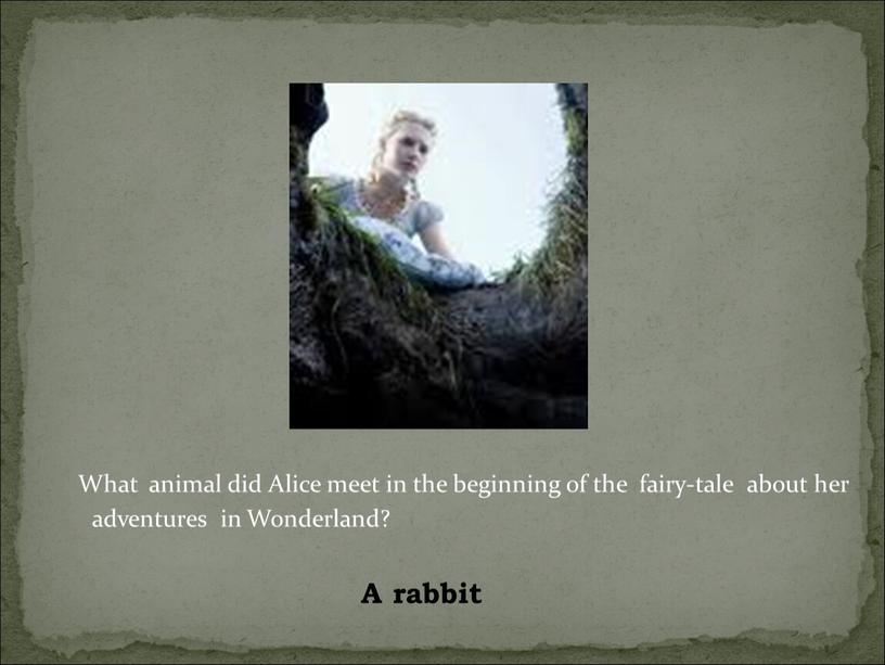 What animal did Alice meet in the beginning of the fairy-tale about her adventures in