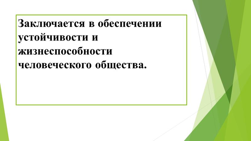 Заключается в обеспечении устойчивости и жизнеспособности человеческого общества