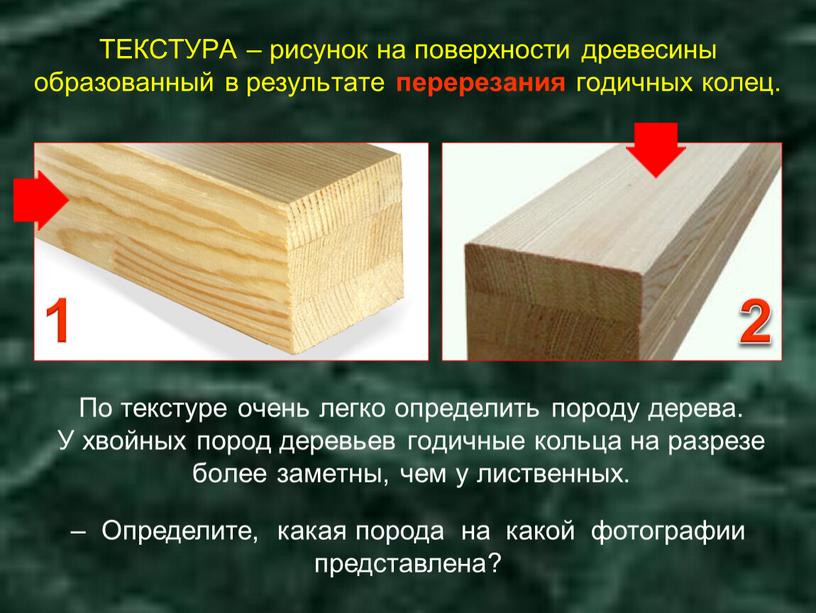 ТЕКСТУРА – рисунок на поверхности древесины образованный в результате перерезания годичных колец