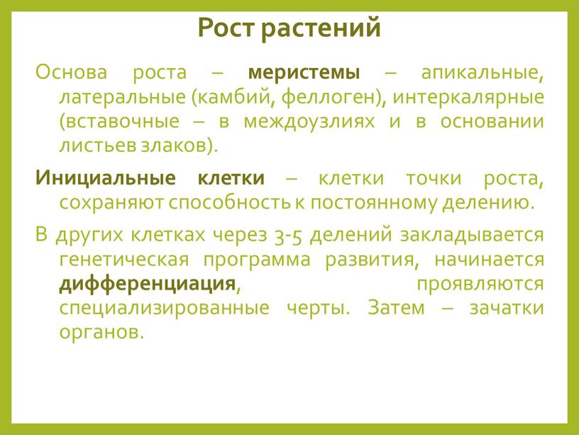 Рост растений Основа роста – меристемы – апикальные, латеральные (камбий, феллоген), интеркалярные (вставочные – в междоузлиях и в основании листьев злаков)