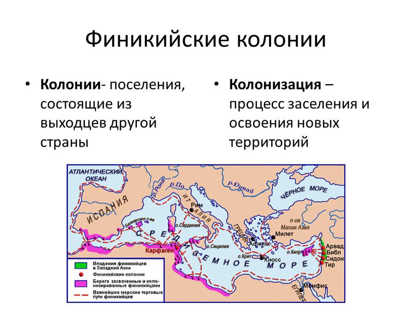 Финикийские колонии Колонии - поселения, состоящие из выходцев другой страны