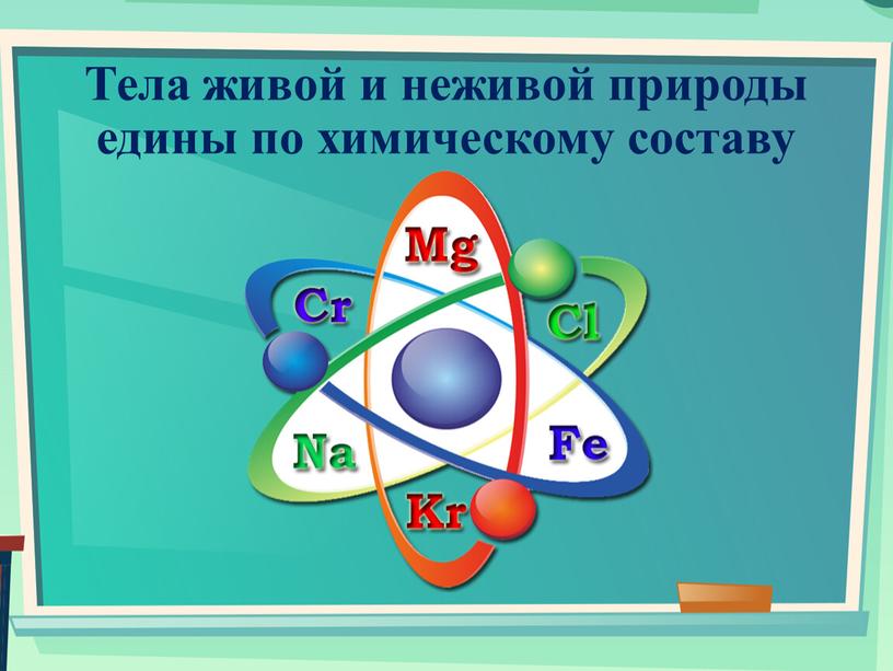 Тела живой и неживой природы едины по химическому составу