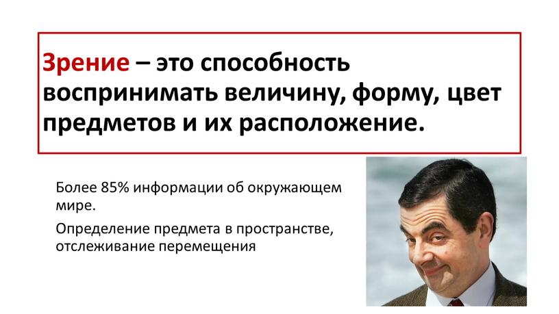 Зрение – это способность воспринимать величину, форму, цвет предметов и их расположение