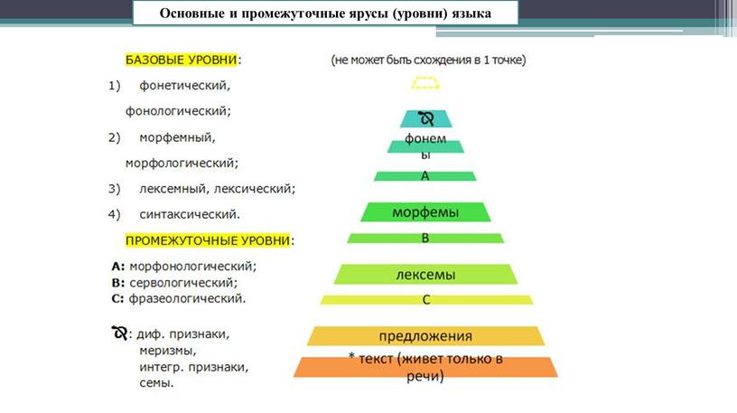 Основные и промежуточные ярусы (уровни) языка