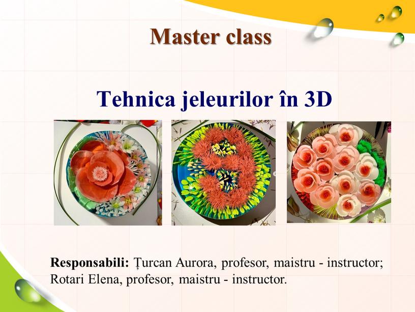 Master class Responsabili: Țurcan