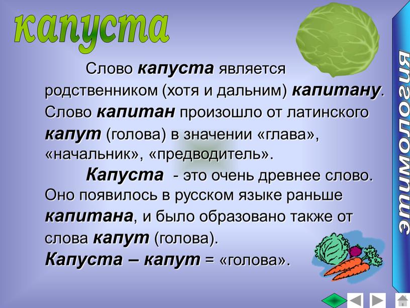 Слово капуста является родственником (хотя и дальним) капитану