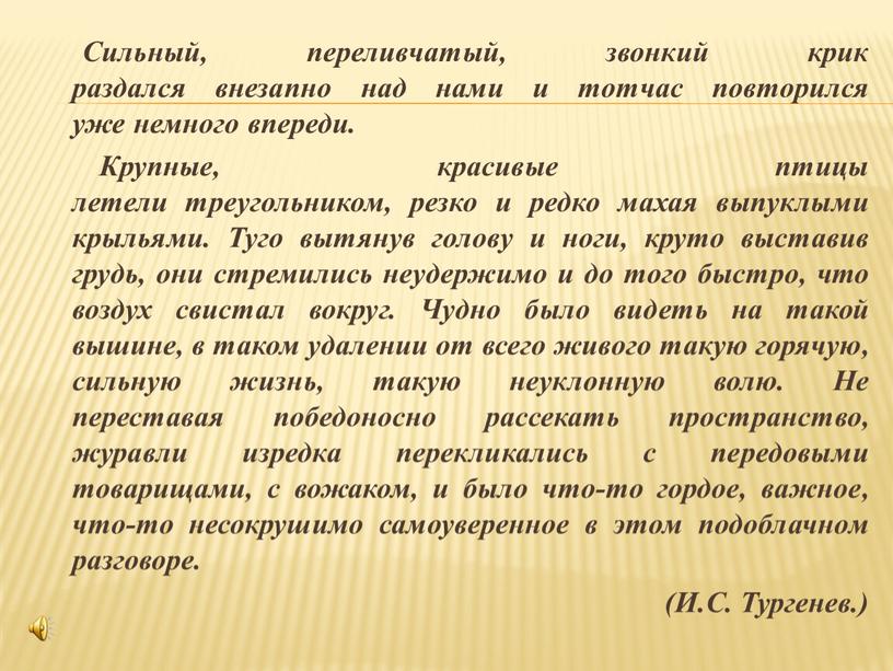 Сильный, переливчатый, звонкий крик раздался внезапно над нами и тотчас повторился уже немного впереди