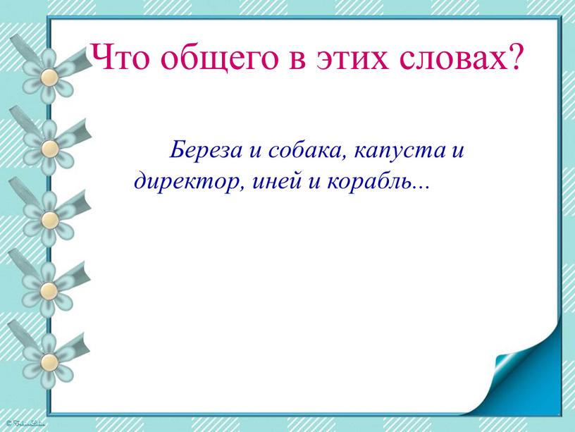 Что общего в этих словах? Береза и собака, капуста и директор, иней и корабль