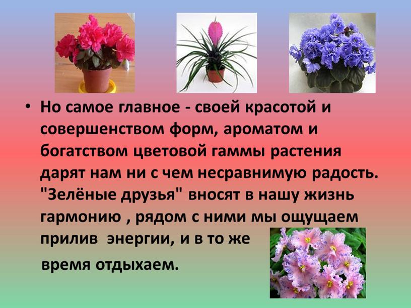 Но самое главное - своей красотой и совершенством форм, ароматом и богатством цветовой гаммы растения дарят нам ни с чем несравнимую радость