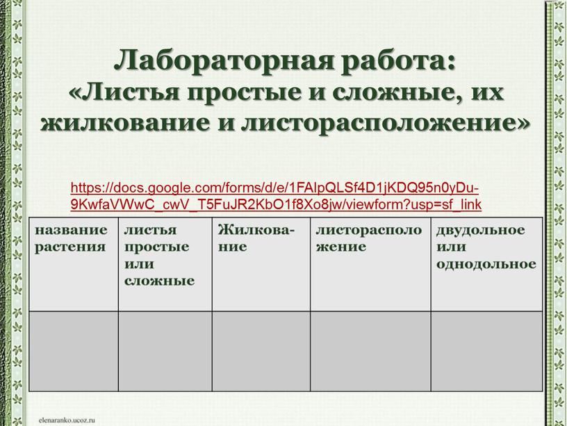 Жилкова-ние листорасположение двудольное или однодольное