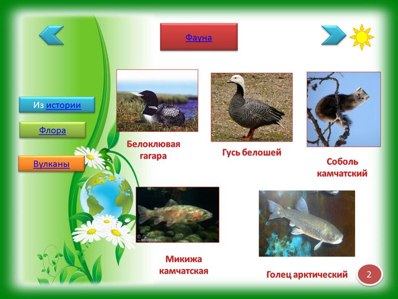 Из истории Флора Фауна Вулканы