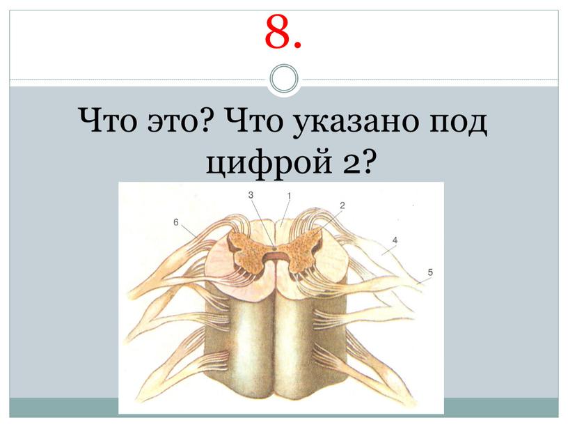 Что это? Что указано под цифрой 2?