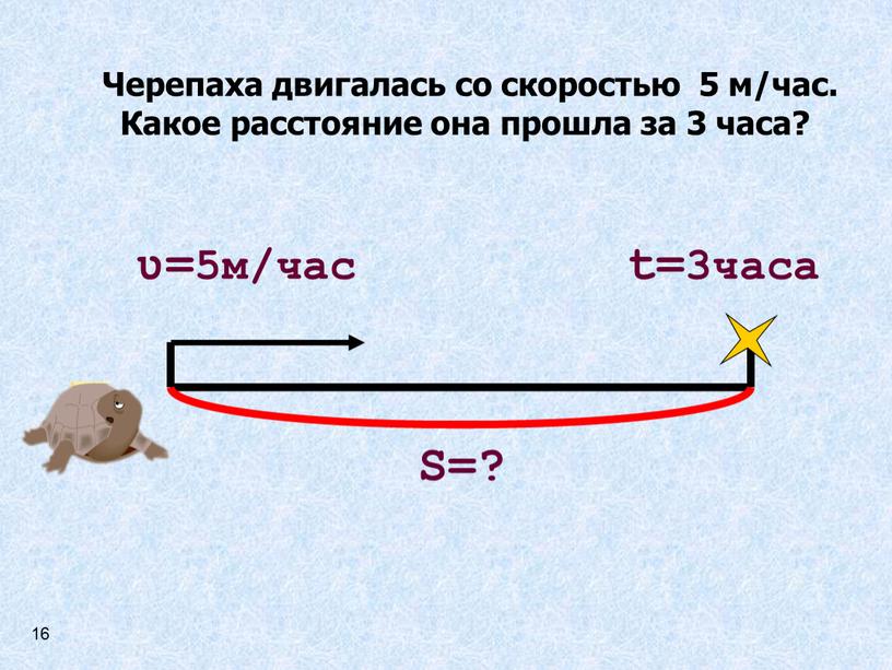 Черепаха двигалась со скоростью 5 м/час