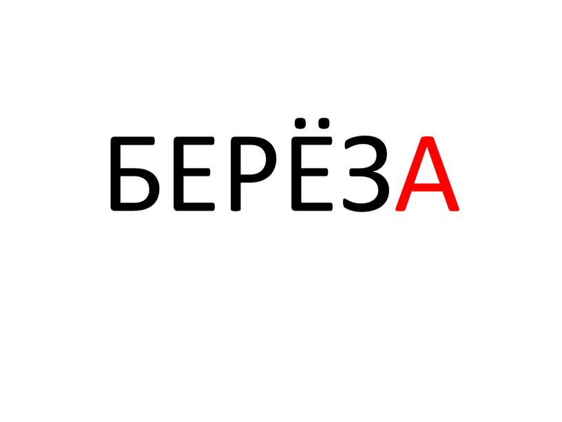 БЕРЁЗА