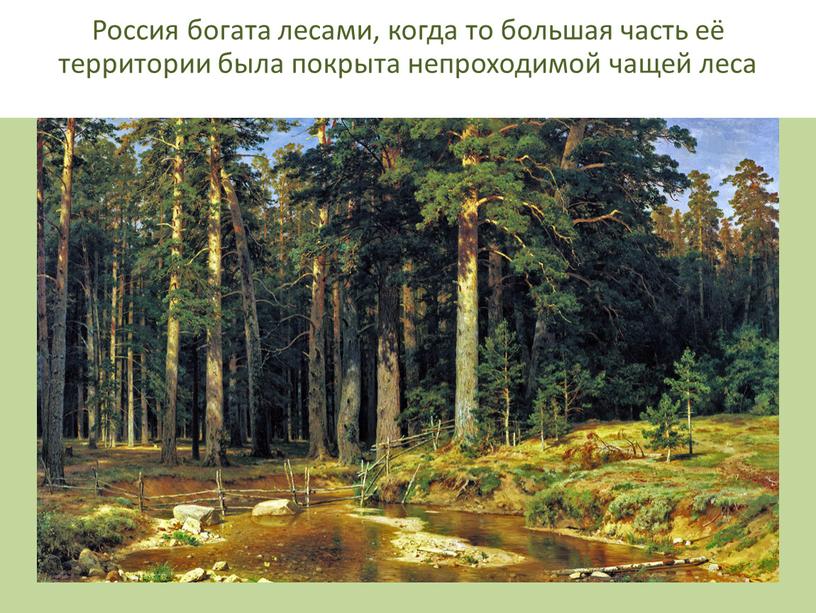 Россия богата лесами, когда то большая часть её территории была покрыта непроходимой чащей леса