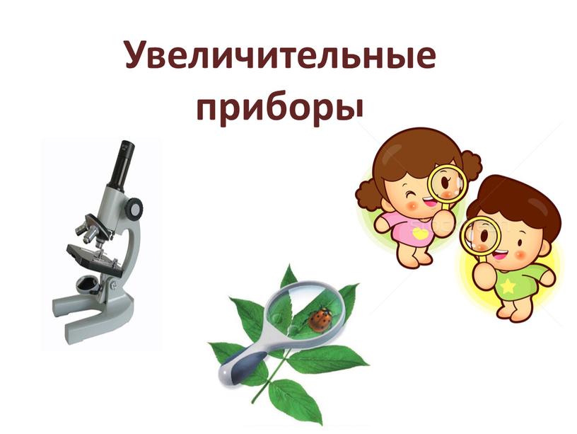 Увеличительные приборы